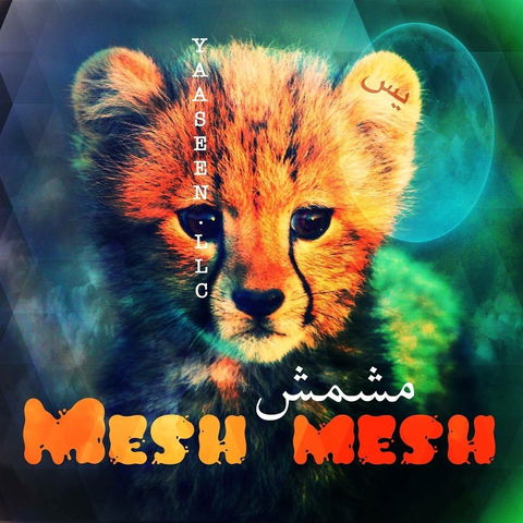 Meshmesh by Yaaseen perfume bottle