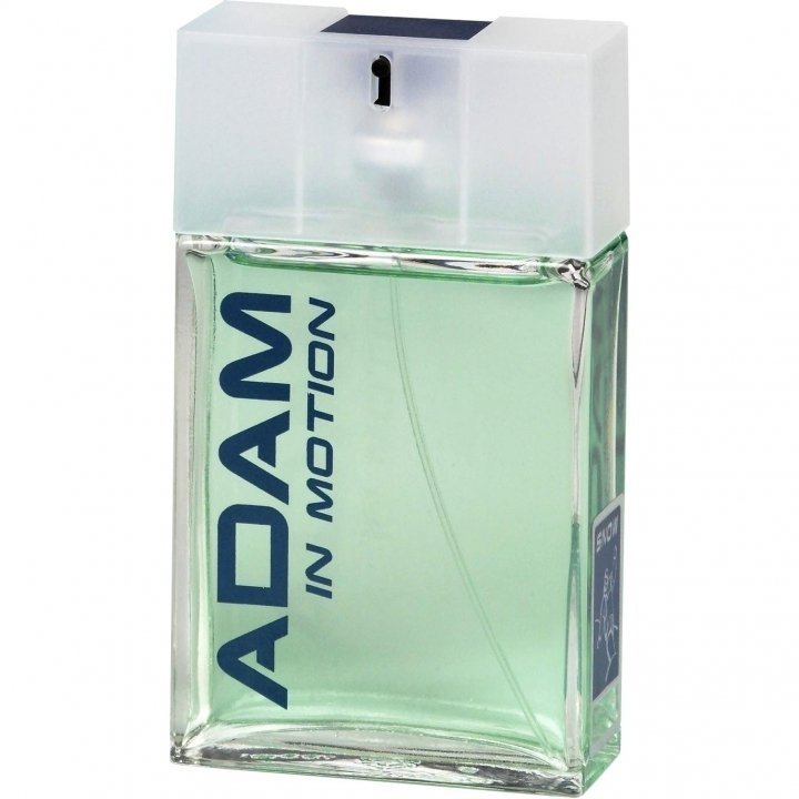 Adam In Motion Surf EDT by Careline perfume bottle