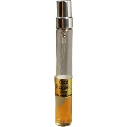 Oud Beyond EDP by La Via del Profumo perfume bottle