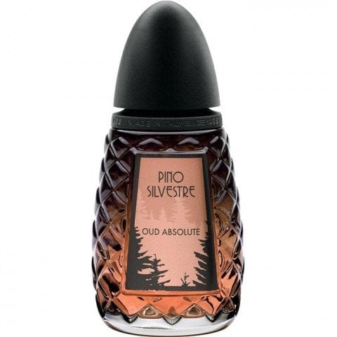Oud Absolute by Pino Silvestre perfume bottle