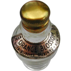 Orange Blossom by Duvinne perfume bottle