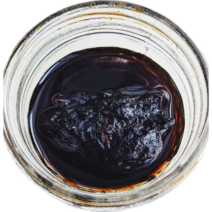 Ouroboros Forever by Wild Veil Perfume perfume bottle