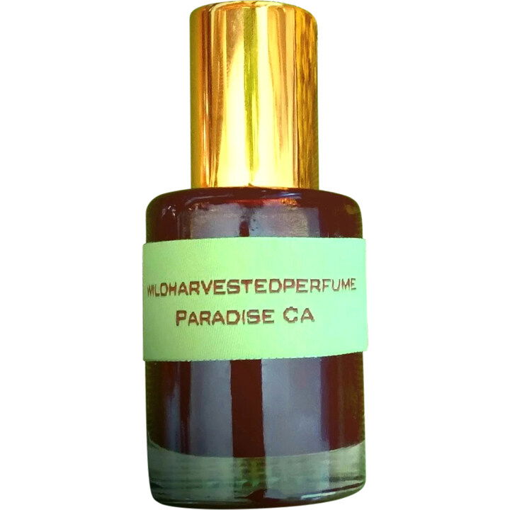 Autumn Harvest by Wild Harvested perfume bottle