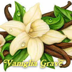 Vaniglia Grave by Pulp Fragrance perfume bottle