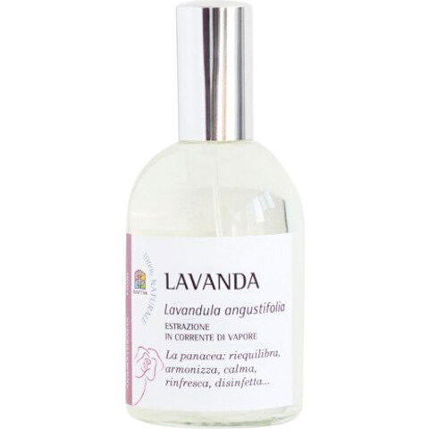 Lavanda by Olfattiva perfume bottle