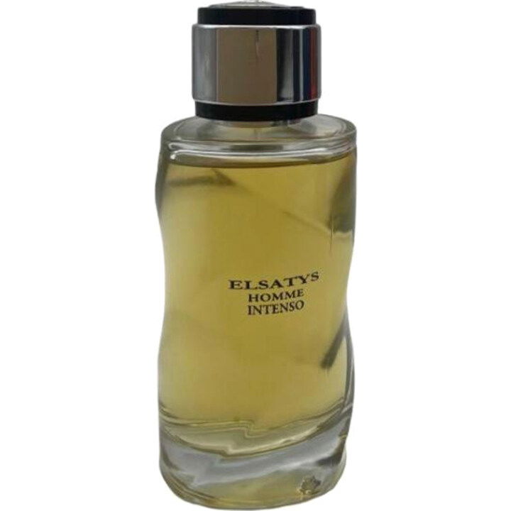 Elsatys Homme Intenso by Reyane Tradition perfume bottle