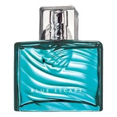Blue Escape for Him by Avon perfume bottle