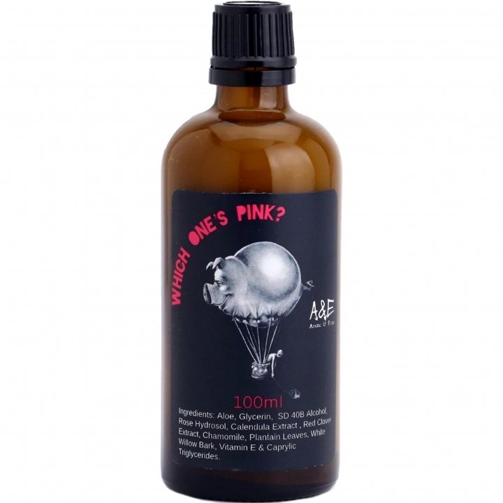 Which One's Pink? by A & E - Ariana & Evans perfume bottle