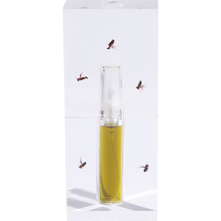 Beyond Skin by Anicka Yi perfume bottle