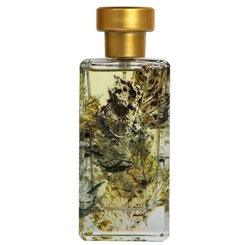 Patchouli (2021) by Al-Jazeera / الجزيرة perfume bottle