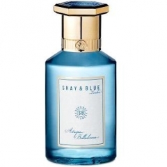 Atropa Belladonna by Shay & Blue perfume bottle