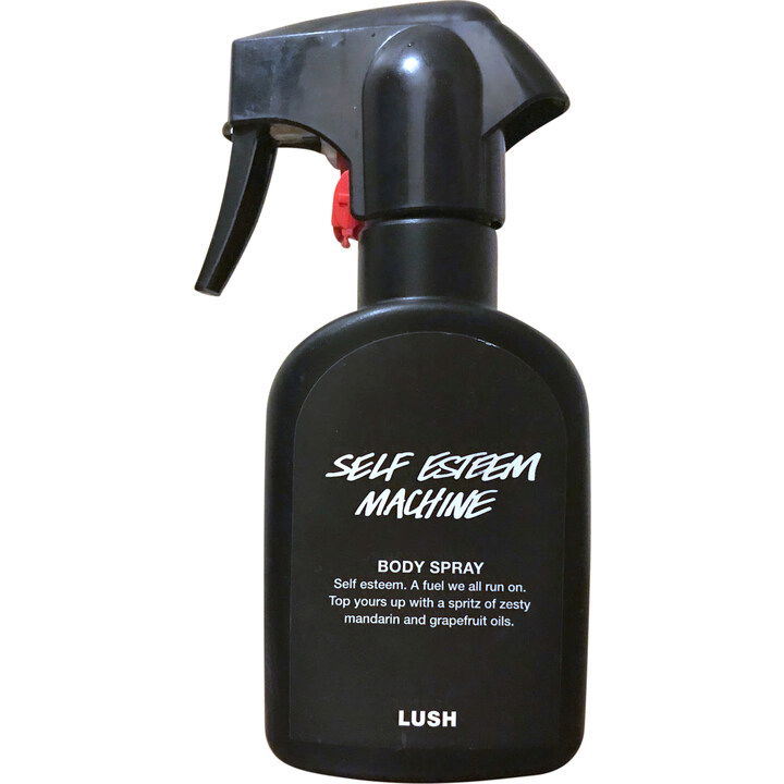 Self Esteem Machine (Body Spray) by Lush / Cosmetics To Go perfume bottle