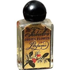 Coffee Flower by Fabielo perfume bottle