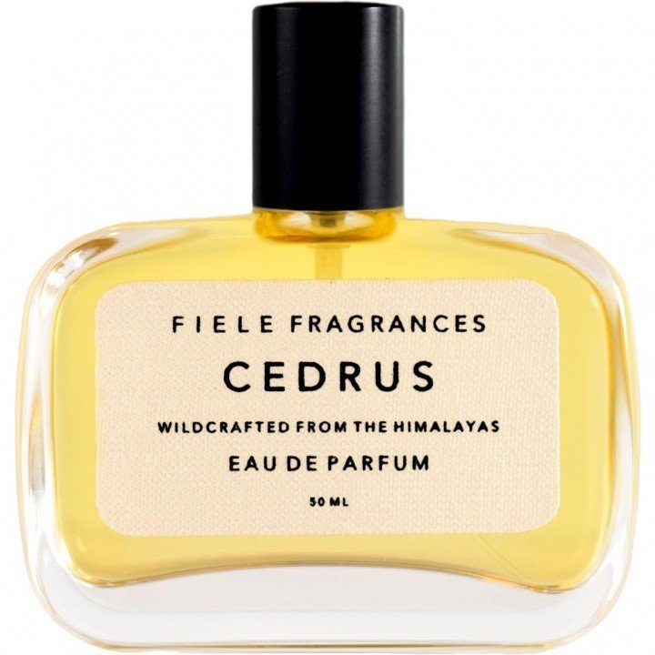 Cedrus by Fiele Fragrances perfume bottle