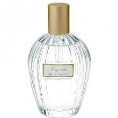 Floral Collection - Magnolia / Magnolia Liliiflora