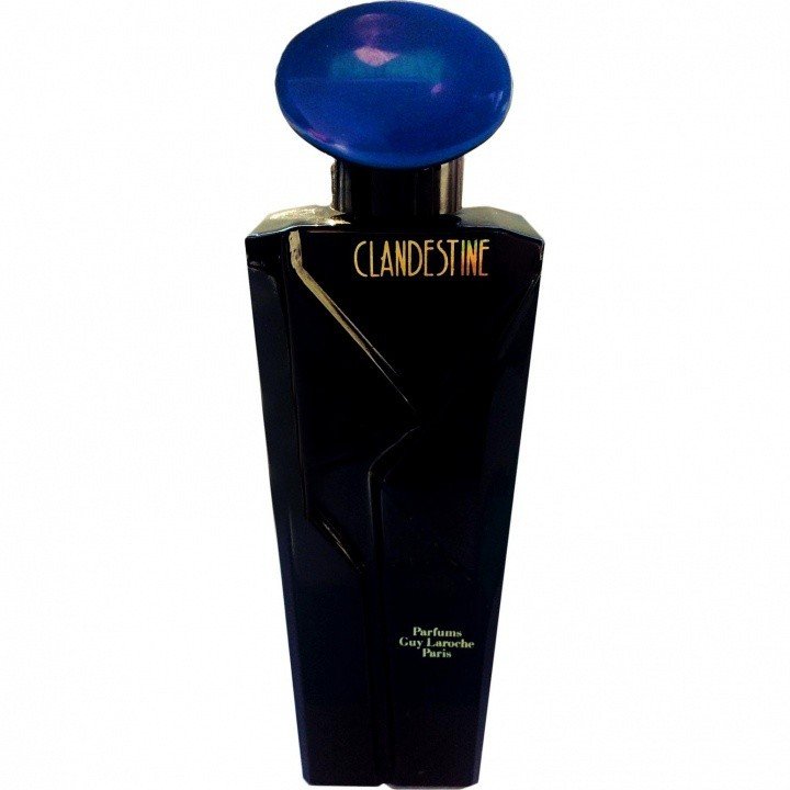 Clandestine Édition Noire by Guy Laroche perfume bottle