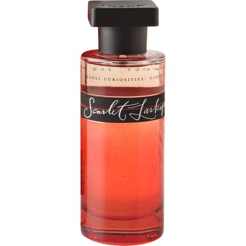 Floral Curiosities - Scarlet Larkspur by Ineke perfume bottle