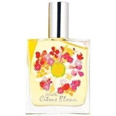 Citrus Bloom by mark. perfume bottle