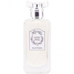 Fleurs Blanches / White Flowers