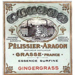 Essence Surfine Gingergrass by Nogara / Péllisier-Aragon / Les Fontaines Parfumées perfume bottle