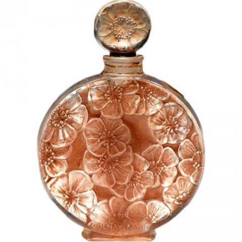 Chypre Ambre by Volnay perfume bottle
