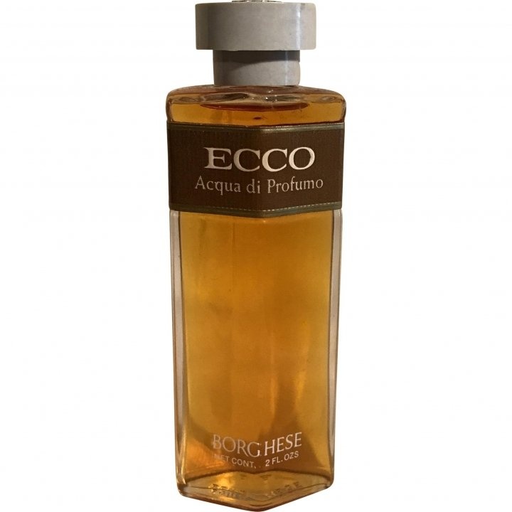 Ecco EDP by Borghese perfume bottle