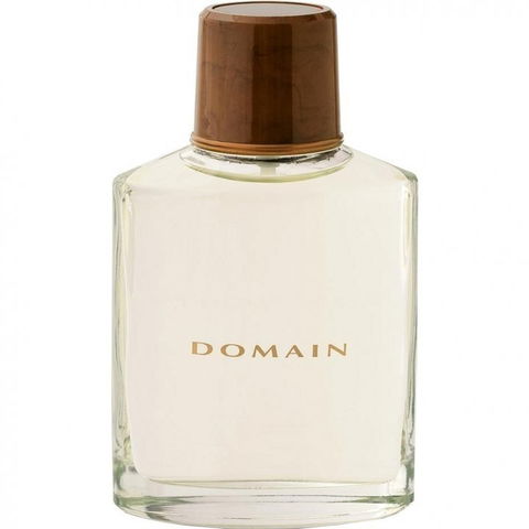 Domain by Mary Kay perfume bottle
