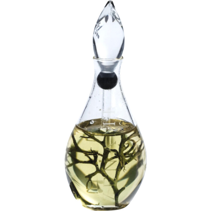So Earthy by Zenami perfume bottle