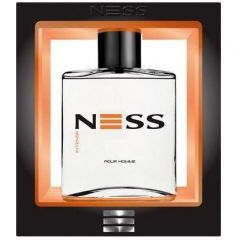 Ness Intense by Evaflor perfume bottle