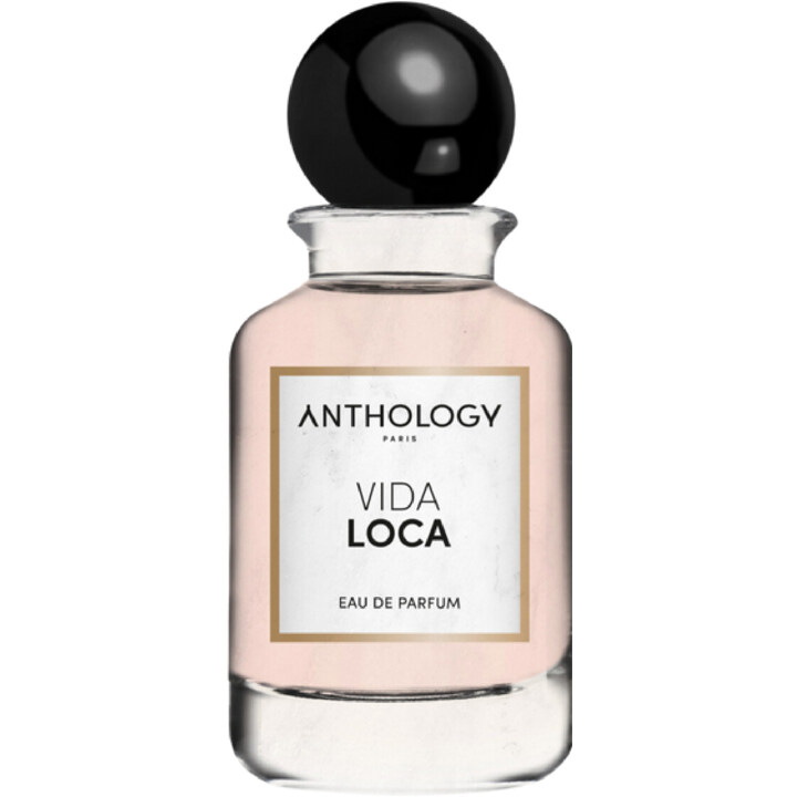 Vida Loca by Anthology perfume bottle