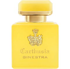 Intenso di Ginestra by Carthusia perfume bottle