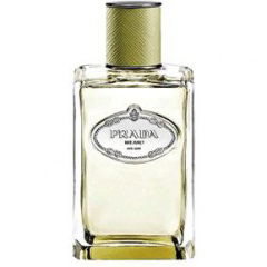 Infusion de Vétiver (2015) by Prada perfume bottle