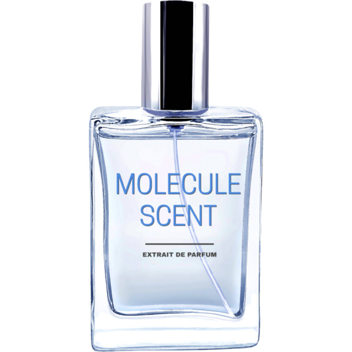 Molecule Scent by Pocket Scents perfume bottle