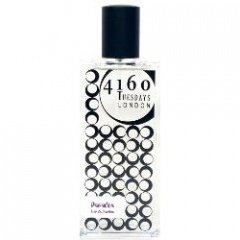 Paradox by 4160 Tuesdays perfume bottle