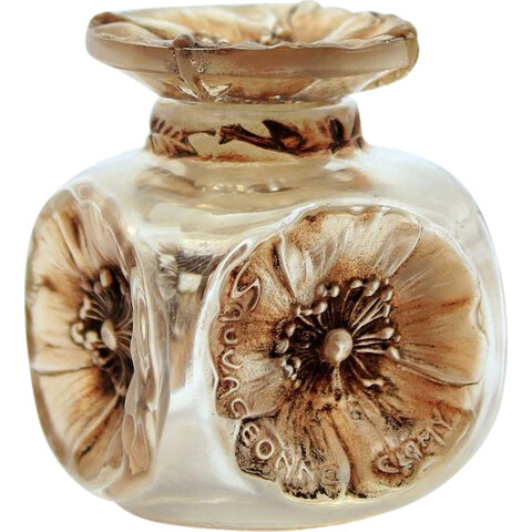 Sauvageonne by Clamy perfume bottle