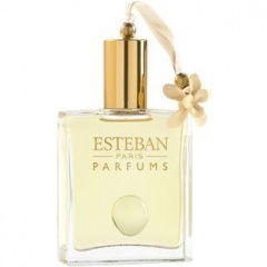 Angelic Flower by Esteban perfume bottle