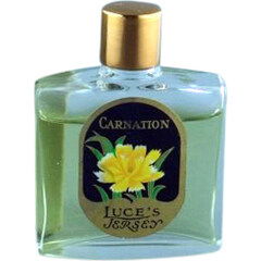 Carnation by Luce's perfume bottle