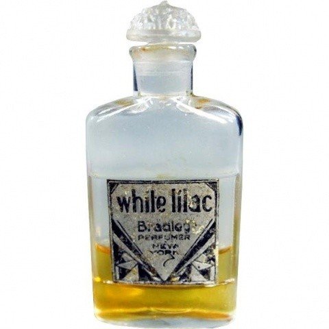 White Lilac by Bradley Perfumer perfume bottle