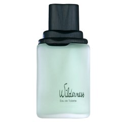 Wilderness EDT by Avon perfume bottle