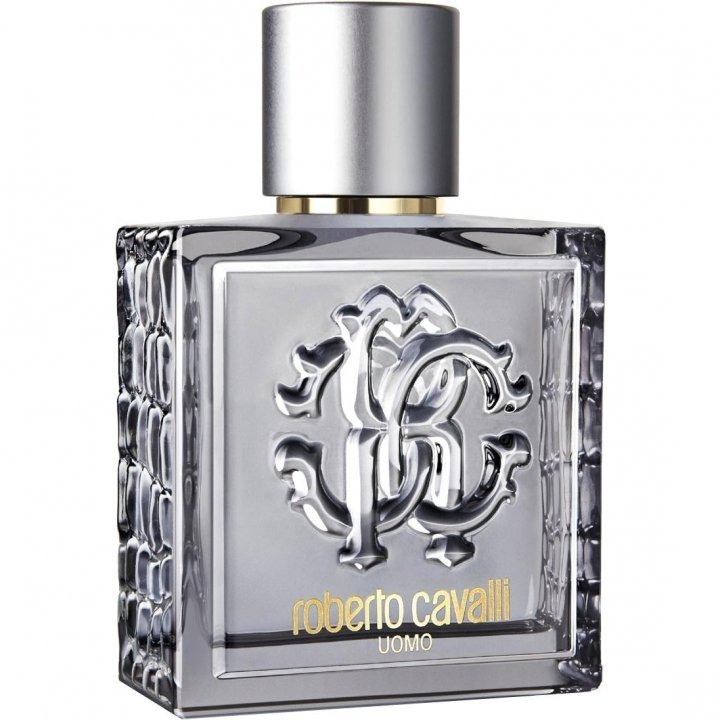 Roberto Cavalli Uomo Silver Essence by Roberto Cavalli perfume bottle