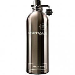 Steam Aoud by Montale perfume bottle