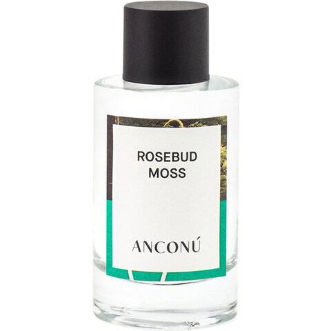 Rosebud Moss by Anconú perfume bottle