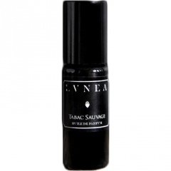 Tabac Sauvage by Lvnea perfume bottle