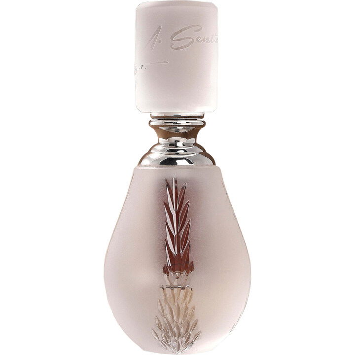 Oud Noud by M. Sentiment perfume bottle
