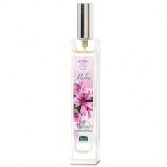 Fiori Radici Frutti - Malva by Helan perfume bottle