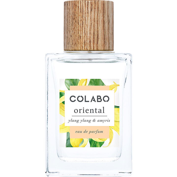 Oriental - Ylang Ylang & Amyris by Colabo perfume bottle