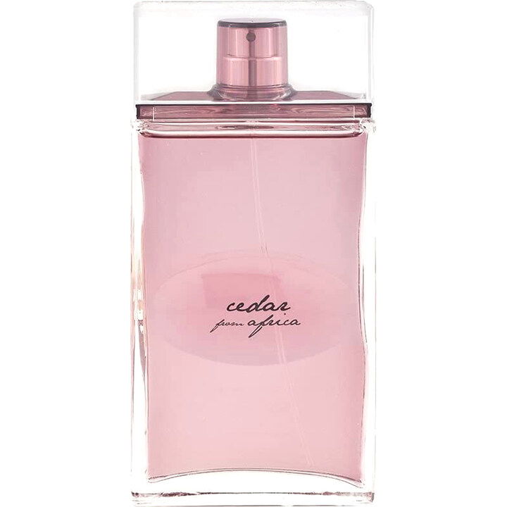 Cedar from Africa by Alviero Martini perfume bottle