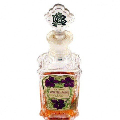 Violette de Parme by Bertelli perfume bottle