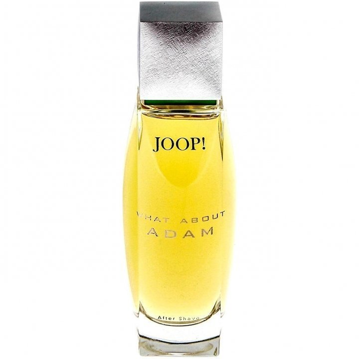 What About Adam (After Shave) by Joop! perfume bottle