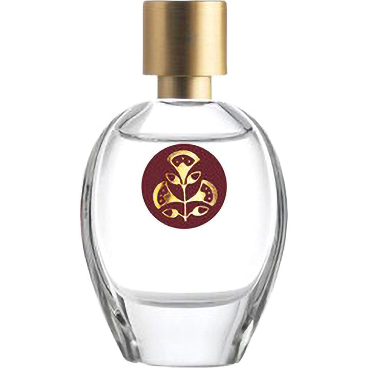 Aqva Avrea by Amaranthvs Herbis perfume bottle